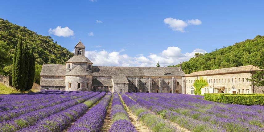 Abadía de Senanque con un campo de flores de lavanda
