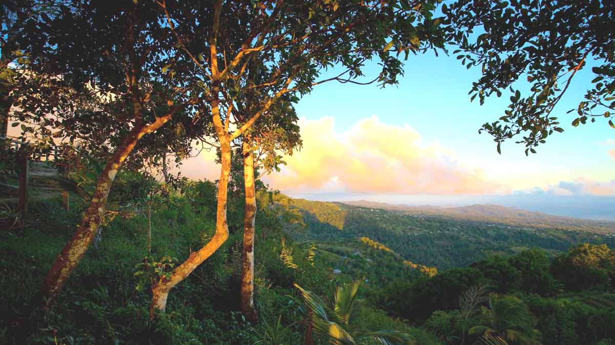 Vistas del parque natural en la isla de Santa Lucia. Antillas holandesas
